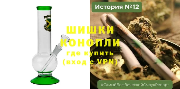 apvp Дмитриев