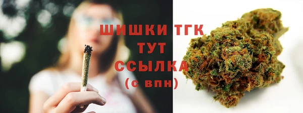 apvp Дмитриев