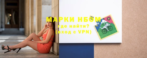 прущие грибы Струнино