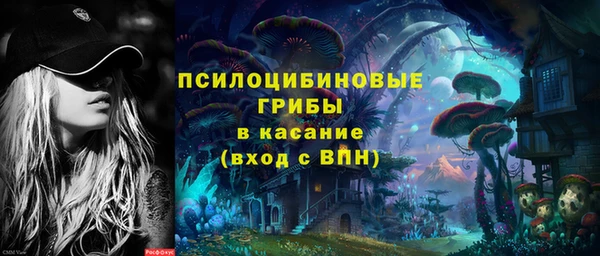 ECSTASY Дмитровск