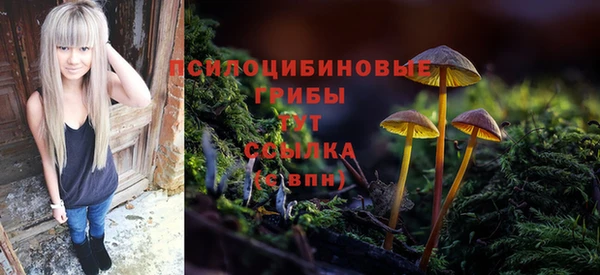ECSTASY Дмитровск