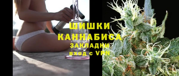 apvp Дмитриев