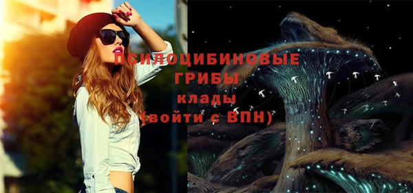 apvp Дмитриев