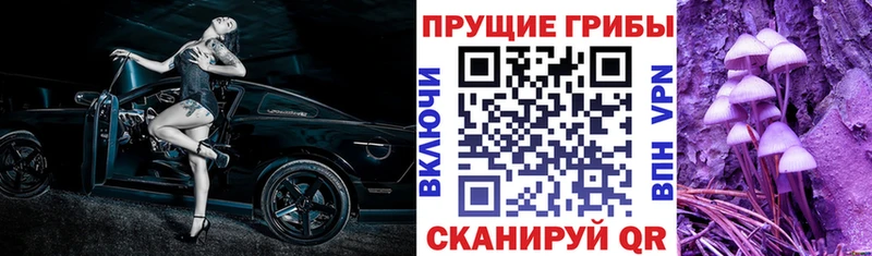 Купить где  Николаевск-на-Амуре  Галлюциногенные грибы прущие грибы 